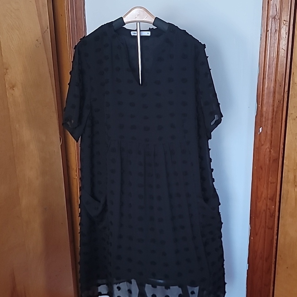Amazon Miholl Black Chiffon Polka Dot Dress